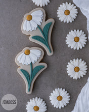 Load image into Gallery viewer, Daisy
