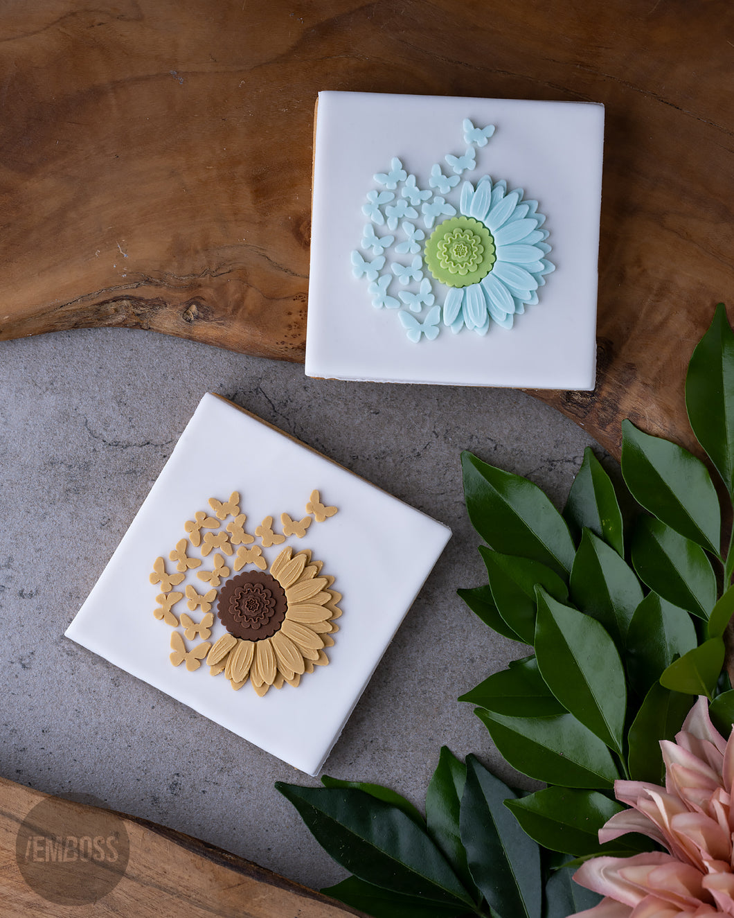 Daisy butterflies