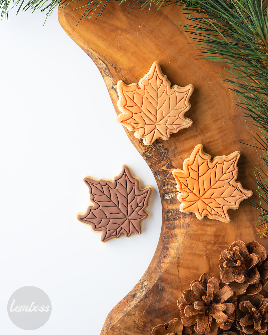 Maple leaf in-press